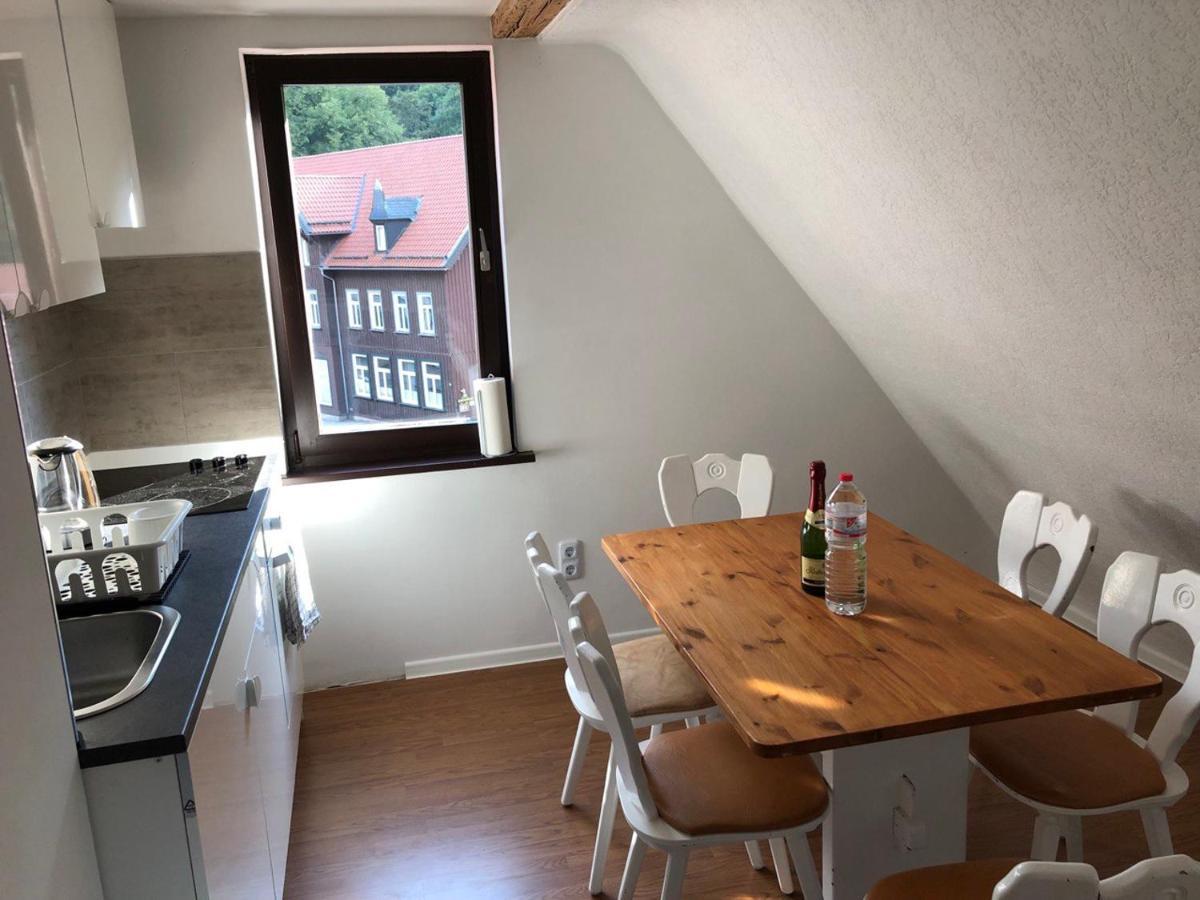 Ferienhaus Art Apartment - Harz Zorge Exteriör bild