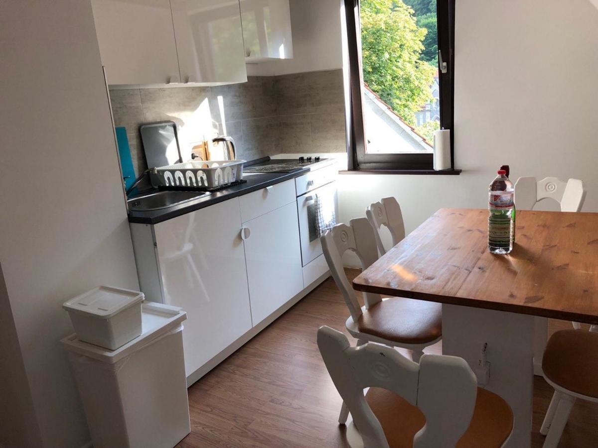 Ferienhaus Art Apartment - Harz Zorge Exteriör bild