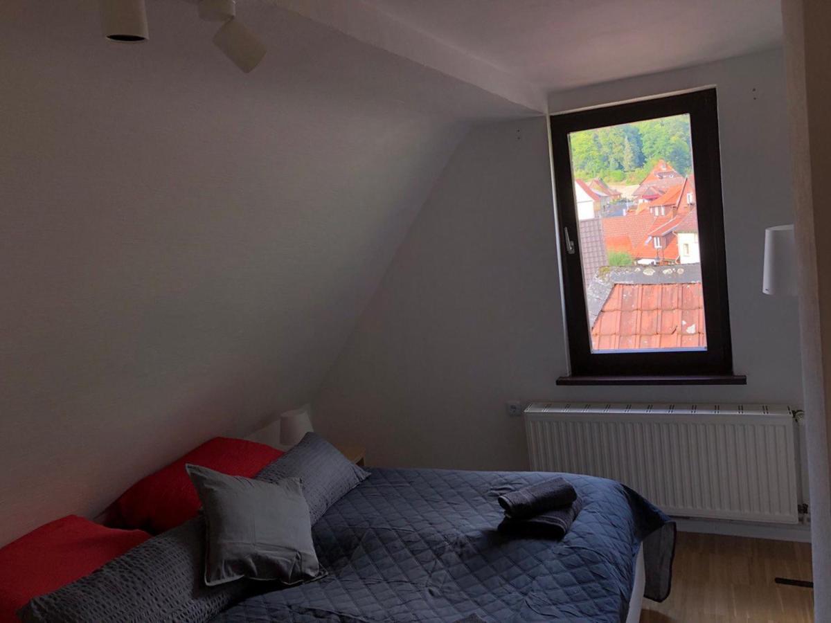 Ferienhaus Art Apartment - Harz Zorge Exteriör bild
