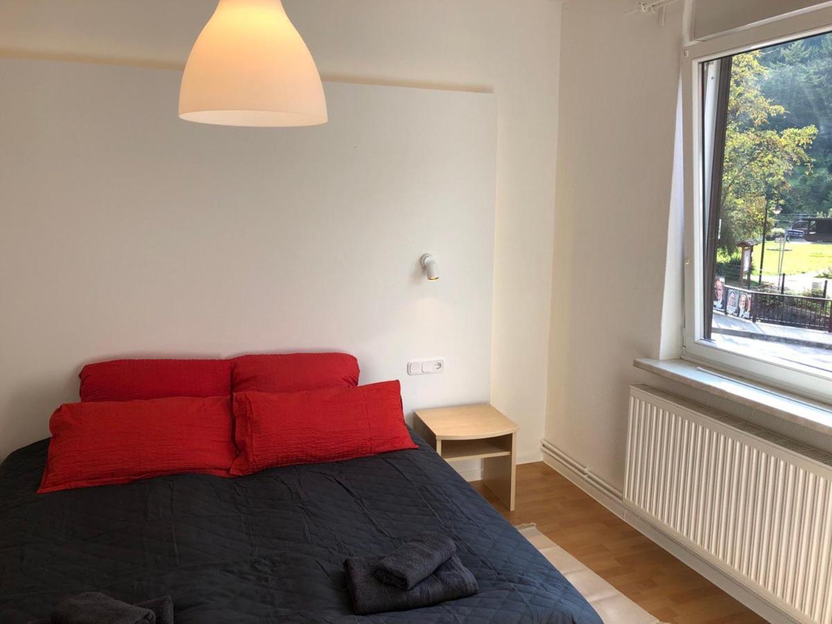 Ferienhaus Art Apartment - Harz Zorge Exteriör bild