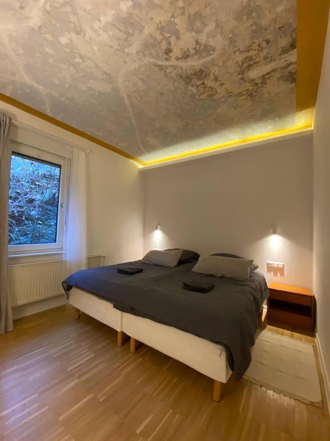 Ferienhaus Art Apartment - Harz Zorge Exteriör bild