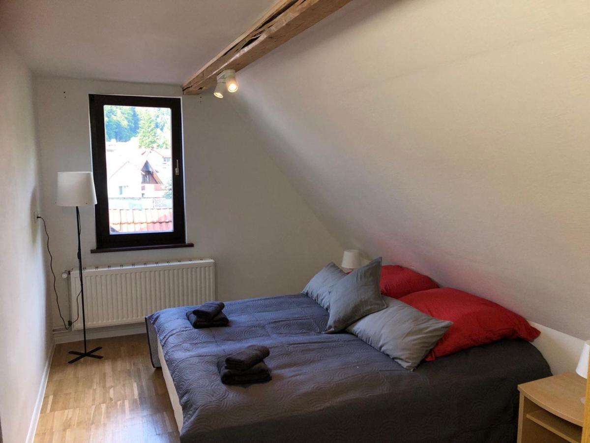 Ferienhaus Art Apartment - Harz Zorge Exteriör bild