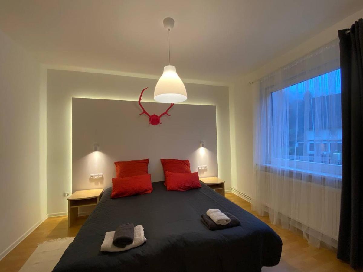 Ferienhaus Art Apartment - Harz Zorge Exteriör bild