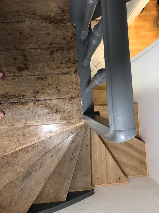Ferienhaus Art Apartment - Harz Zorge Exteriör bild