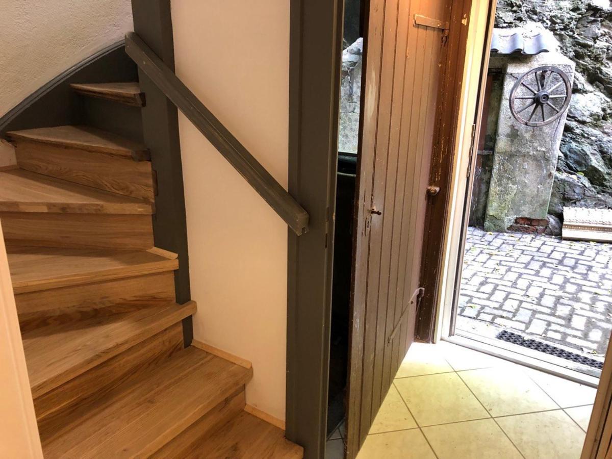 Ferienhaus Art Apartment - Harz Zorge Exteriör bild
