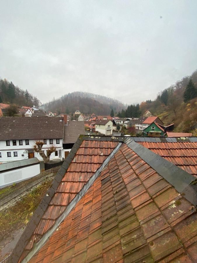 Ferienhaus Art Apartment - Harz Zorge Exteriör bild