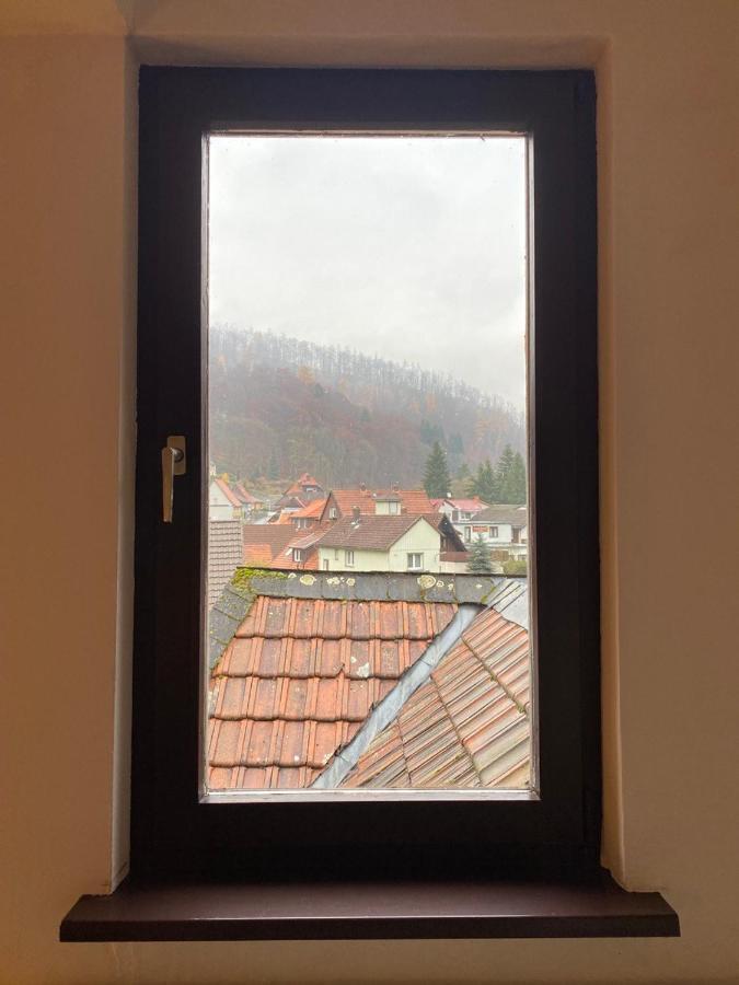 Ferienhaus Art Apartment - Harz Zorge Exteriör bild