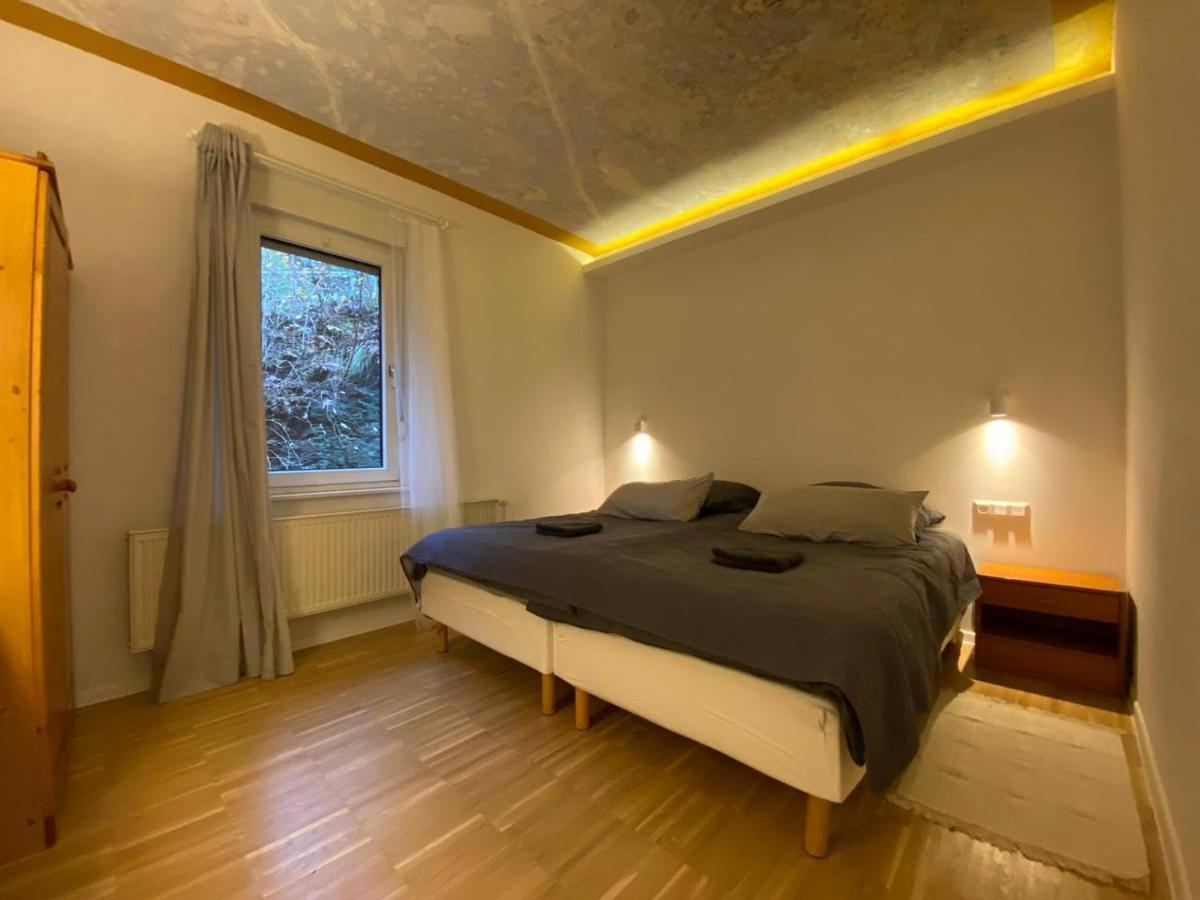 Ferienhaus Art Apartment - Harz Zorge Exteriör bild