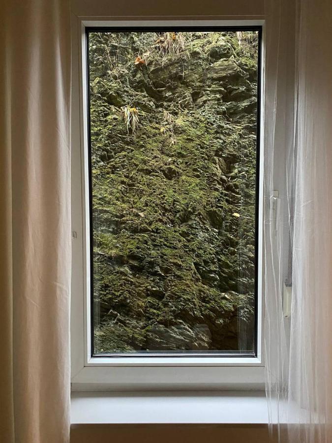 Ferienhaus Art Apartment - Harz Zorge Exteriör bild